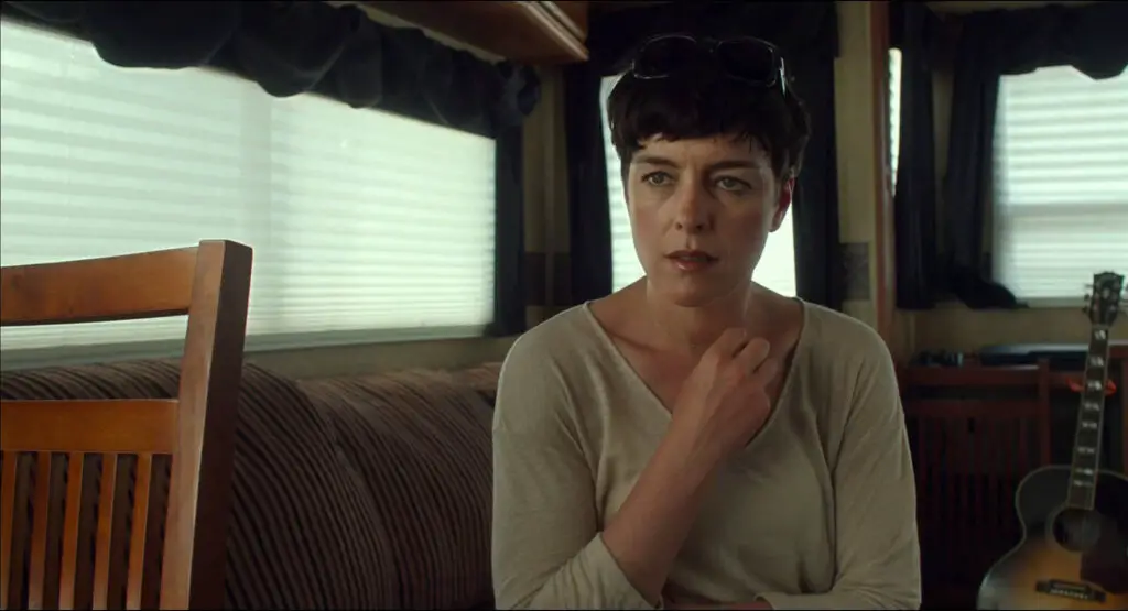 Olivia Williams playing Christina Weiss, 2014's 'Map to the Stars' movie.