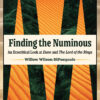 Book review of 'Finding the Numinous: An Ecocritical Look at Dune and The Lord of the Rings'.